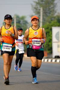 BIB: 41569, 40562
                            <button type="button" onclick="openModal(8802244)" class="btn btn-primary btn-sm float-right btn-popup" data-toggle="modal" data-target=".modal-high-quality">
                        <i class="fas fa-shopping-cart"></i> Add to Cart
                    </button>
                                            <button type="button" onclick="isThisMe(8802244, true)" class="btn btn-success btn-sm float-right btn-popup btn-isme hidden" data-toggle="tooltip" data-placement="bottom" title="นี่คือรูปของคุณใช่ไหม คลิกที่นี่เพื่อเอาเข้าอัลบั้ม">
                        <i class="fas fa-plus"></i> Add to album
                    </button>
                    <button type="button" onclick="isThisMe(8802244, false)" class="btn btn-warning btn-sm float-right btn-popup btn-isnotme hidden">
                        <i class="fas fa-ban"></i> Remove from album
                    </button>